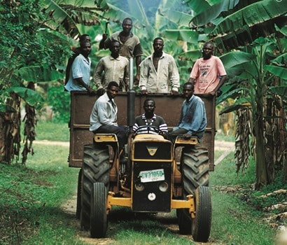 Kakaobauern auf Traktor in Plantage