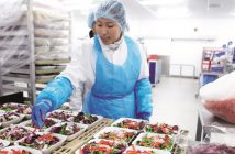 Flugzeug-Catering: Gategroup expandiert Eine Catering-Mitarbeiterin vor Essenstabletts
