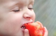 Neues Institut für Kinderernährung Kind isst Tomate