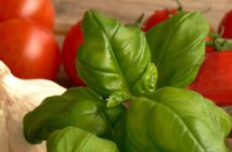 Praxisleitfaden für vegane Großverpflegung überarbeitet italienisches Gemüse