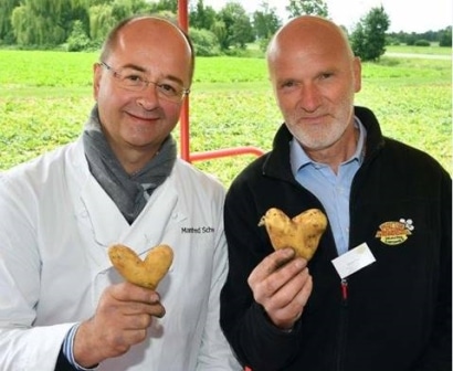 Spitzenkoch Manfred Schwarz ist Markenbotschafter der Frühkartoffel Pfälzer Grumbeere