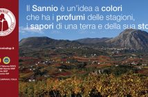 Il SANNIO Consorzio Tutela Vini al Prowein