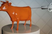 Video über Herstellung von Laborfleisch Video Künstliches Fleisch
