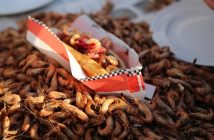 Erster Krabben-Hotdog bei Husumer Krabbentagen