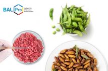 Verband für Alternative Proteinquellen gegründet