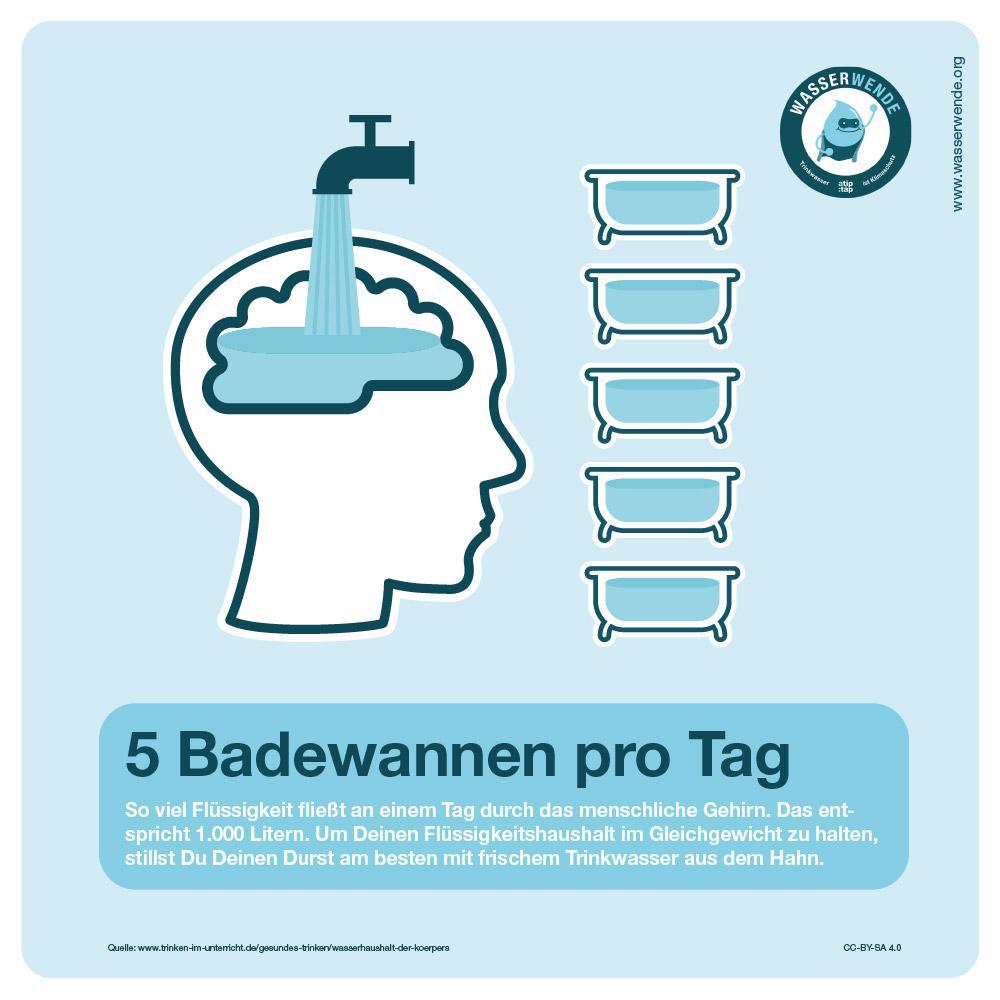 5 Badewannen pro Tag fließen durch das menschliche Gehirn